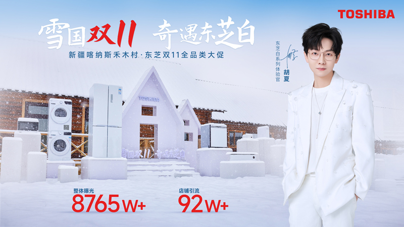 雪国双11 奇遇东芝白